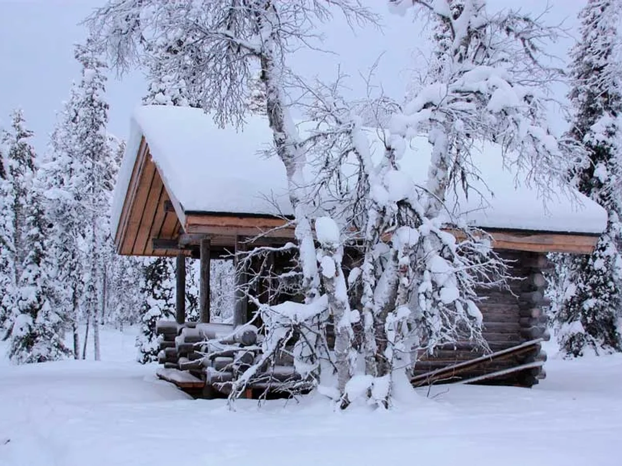 Explorar Laponia en invierno