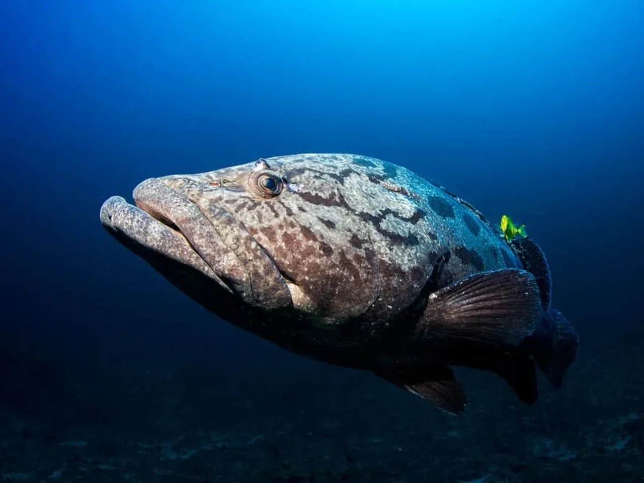 preparativos viaje Mozambique