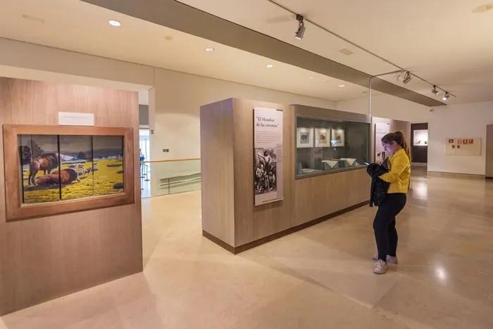 Museo Cuevas de Altamira