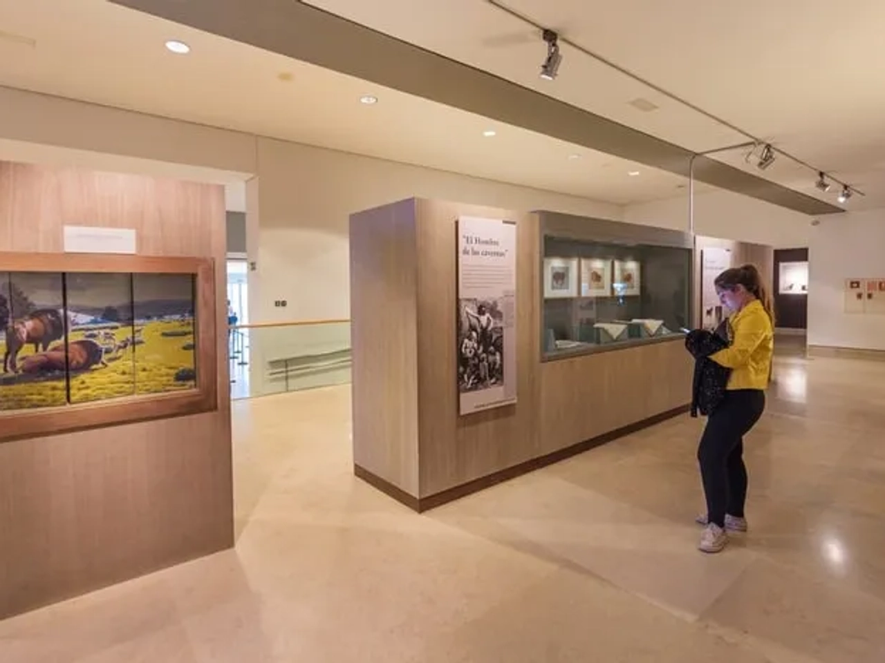 Museo Cuevas de Altamira