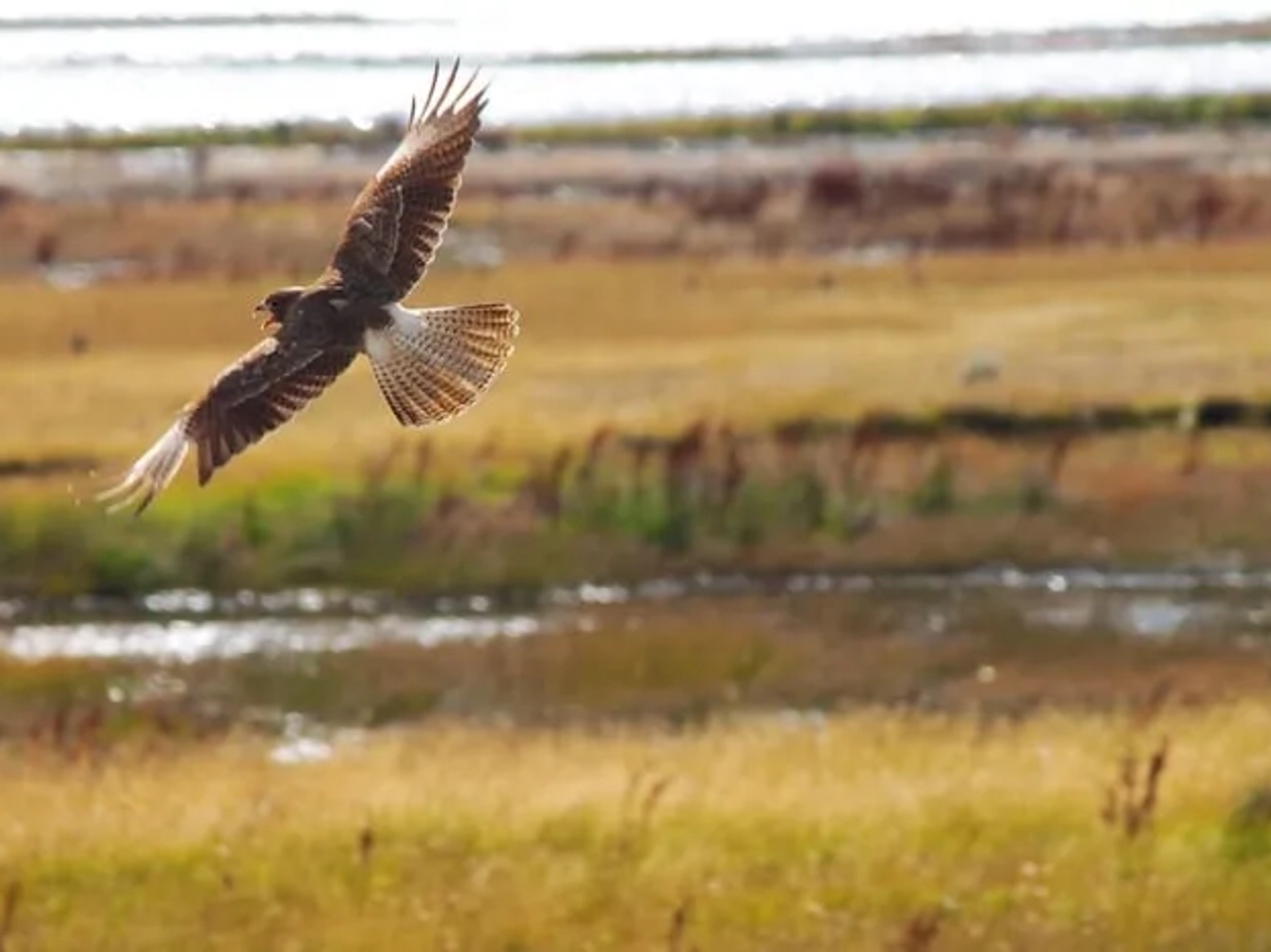 Que hacer en El Calafate
