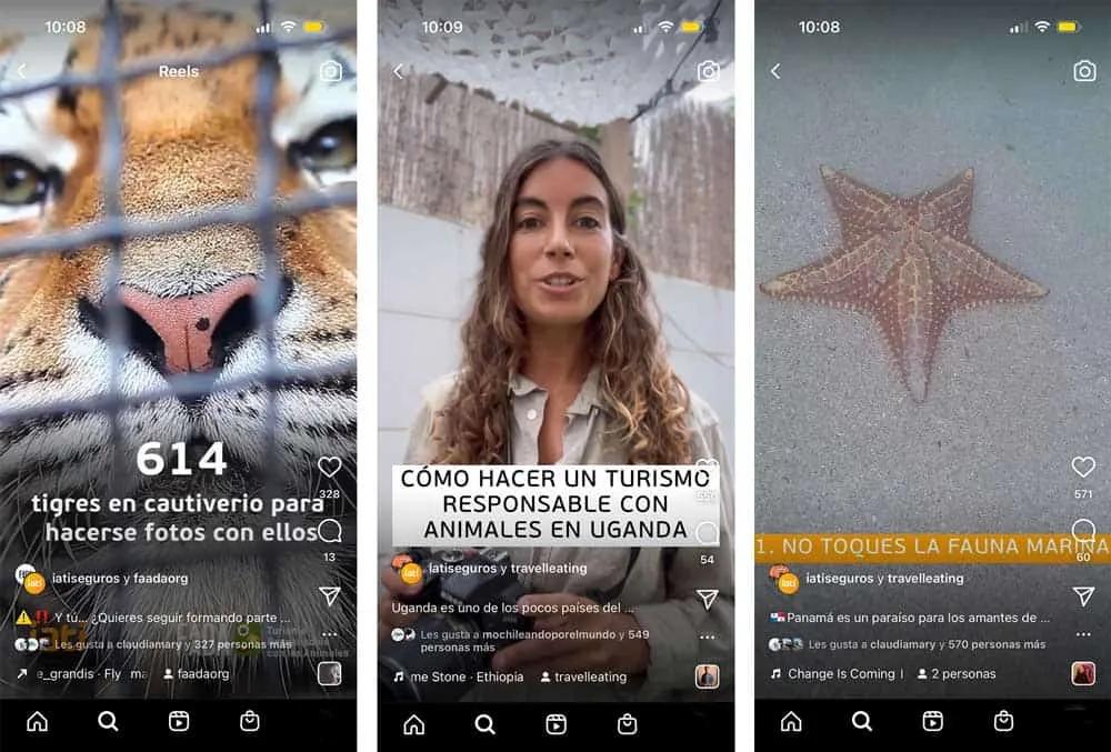 reels compromiso IATI responsable