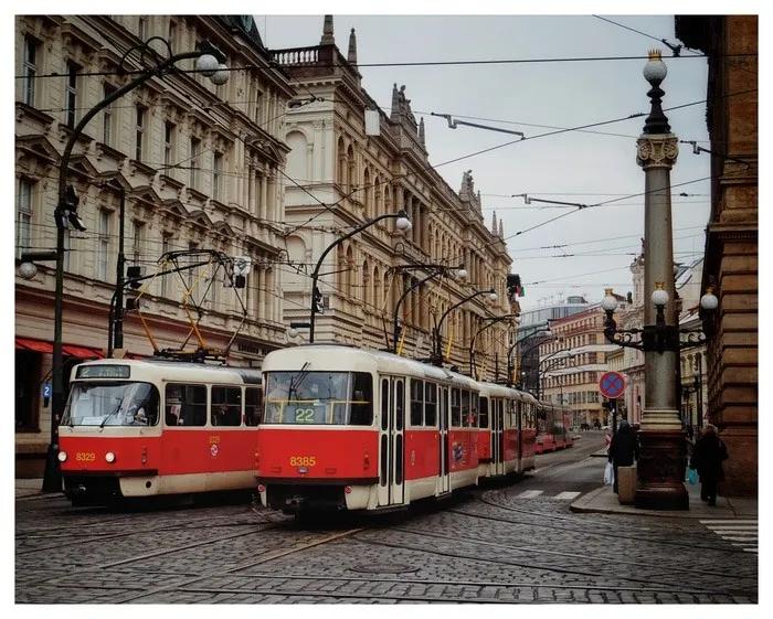Luli y Coco - Enero 2018