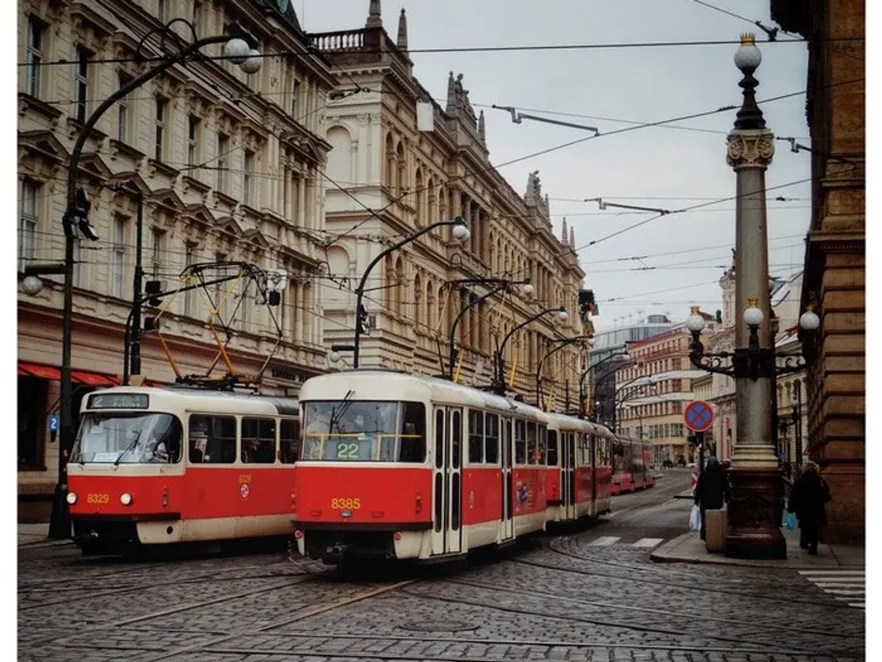 Luli y Coco - Enero 2018