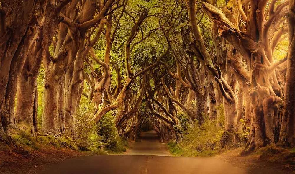 recorrer la Causeway Coastal Route