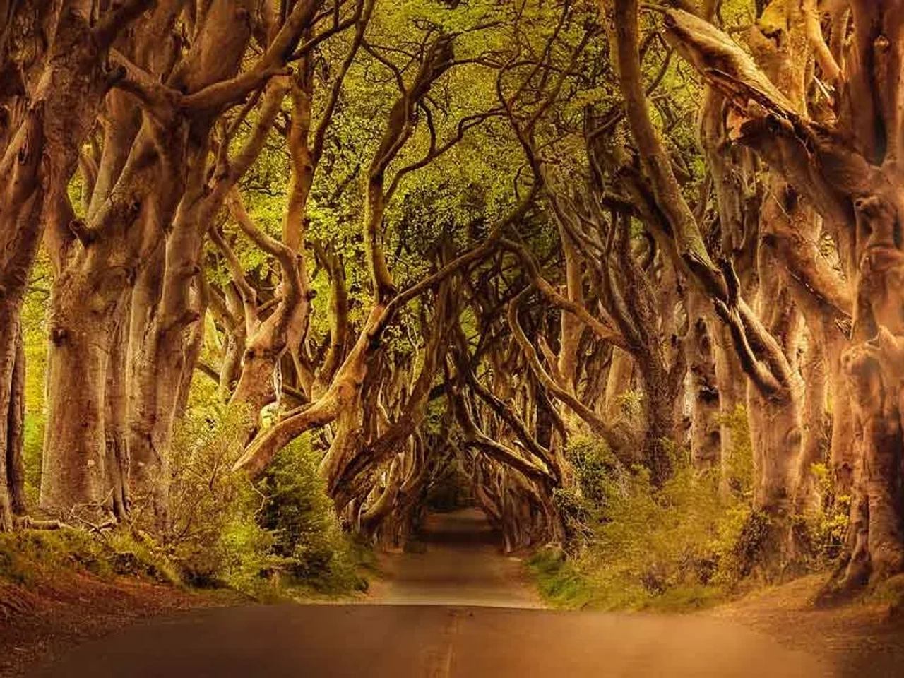 recorrer la Causeway Coastal Route