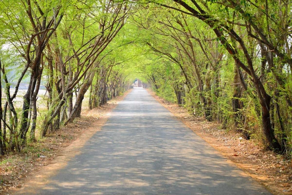 cuál es el mejor seguro de viaje