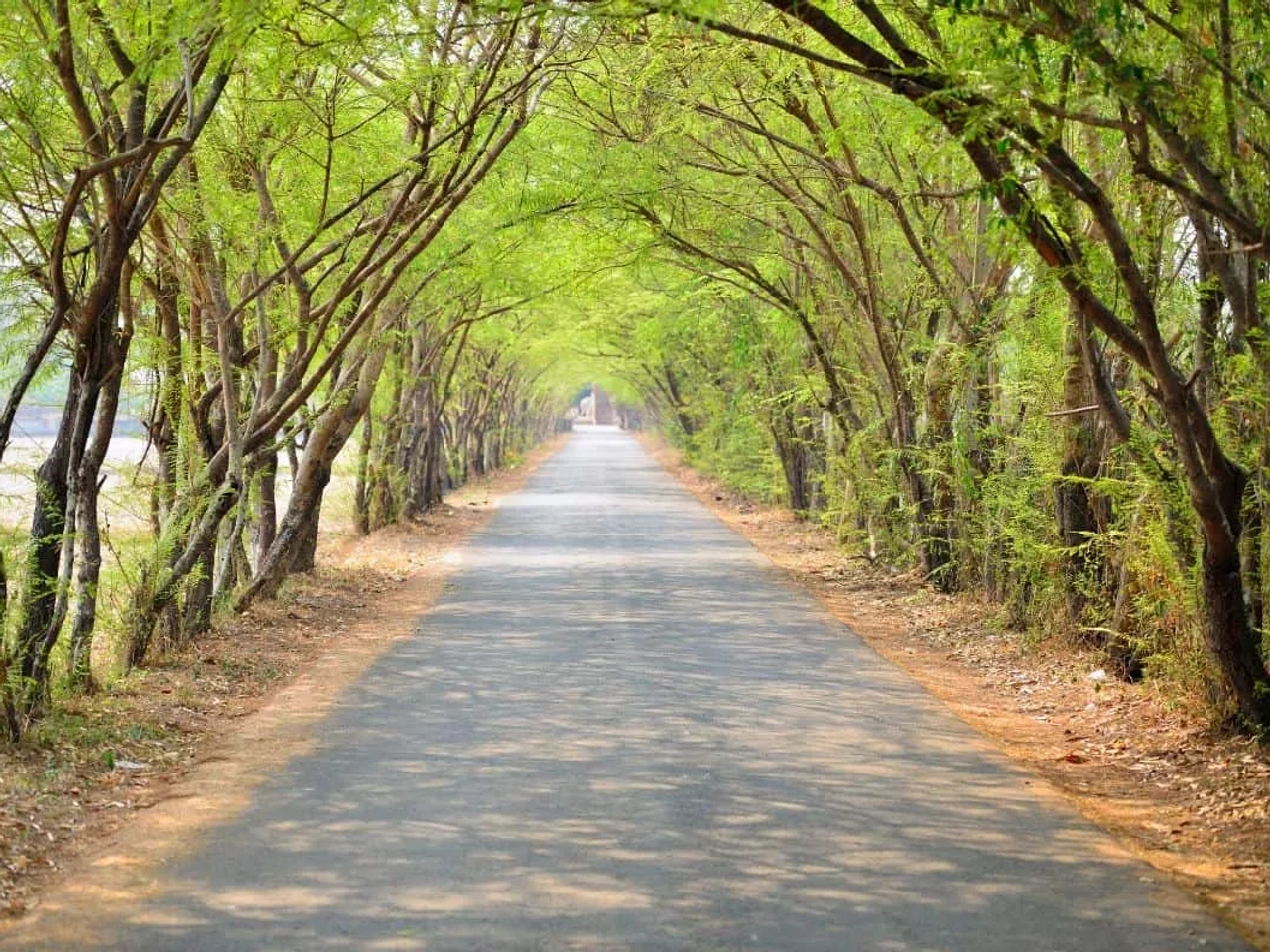 cuál es el mejor seguro de viaje