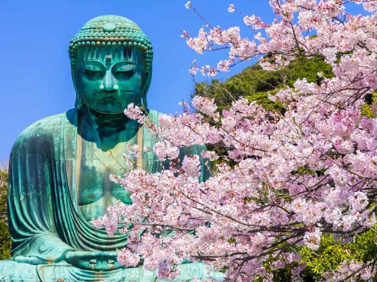 Japón en dos semanas