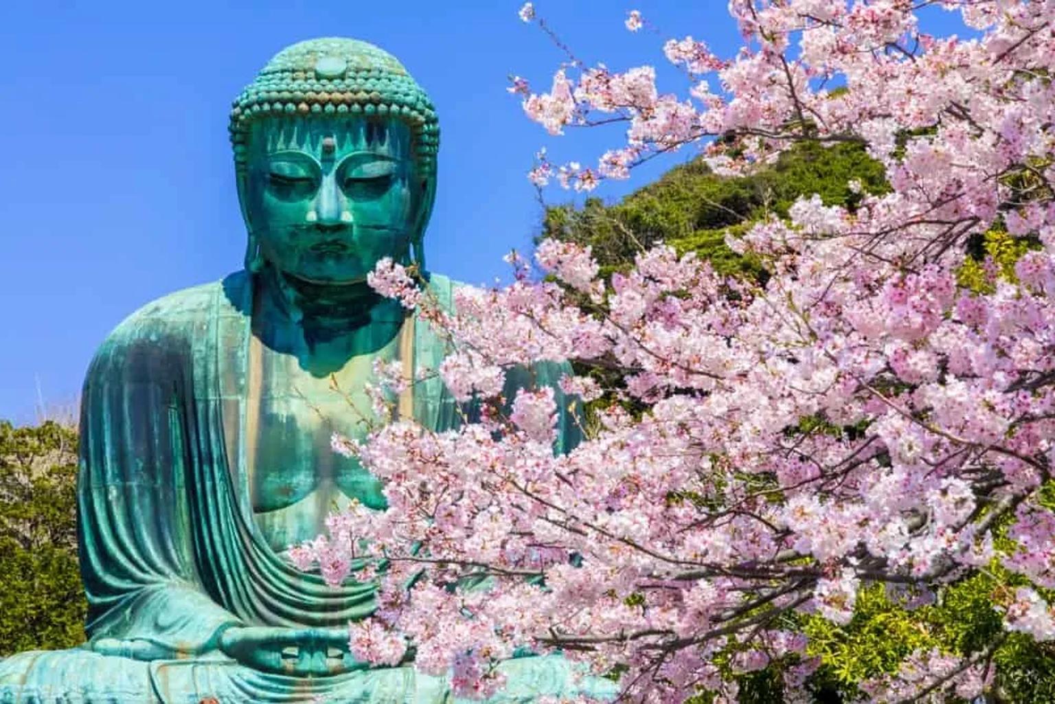 Japón en dos semanas