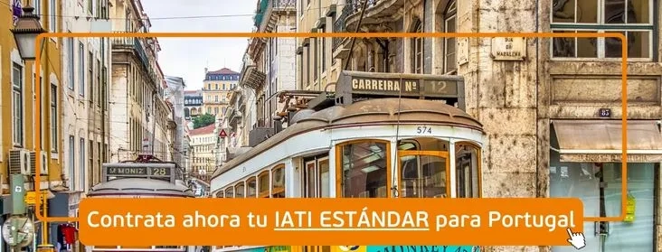 IATI estándar Portugal