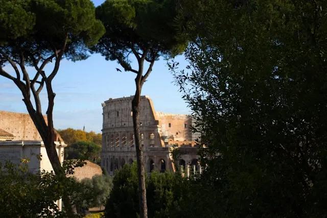 arvores verdes em frente ao coliseu romano