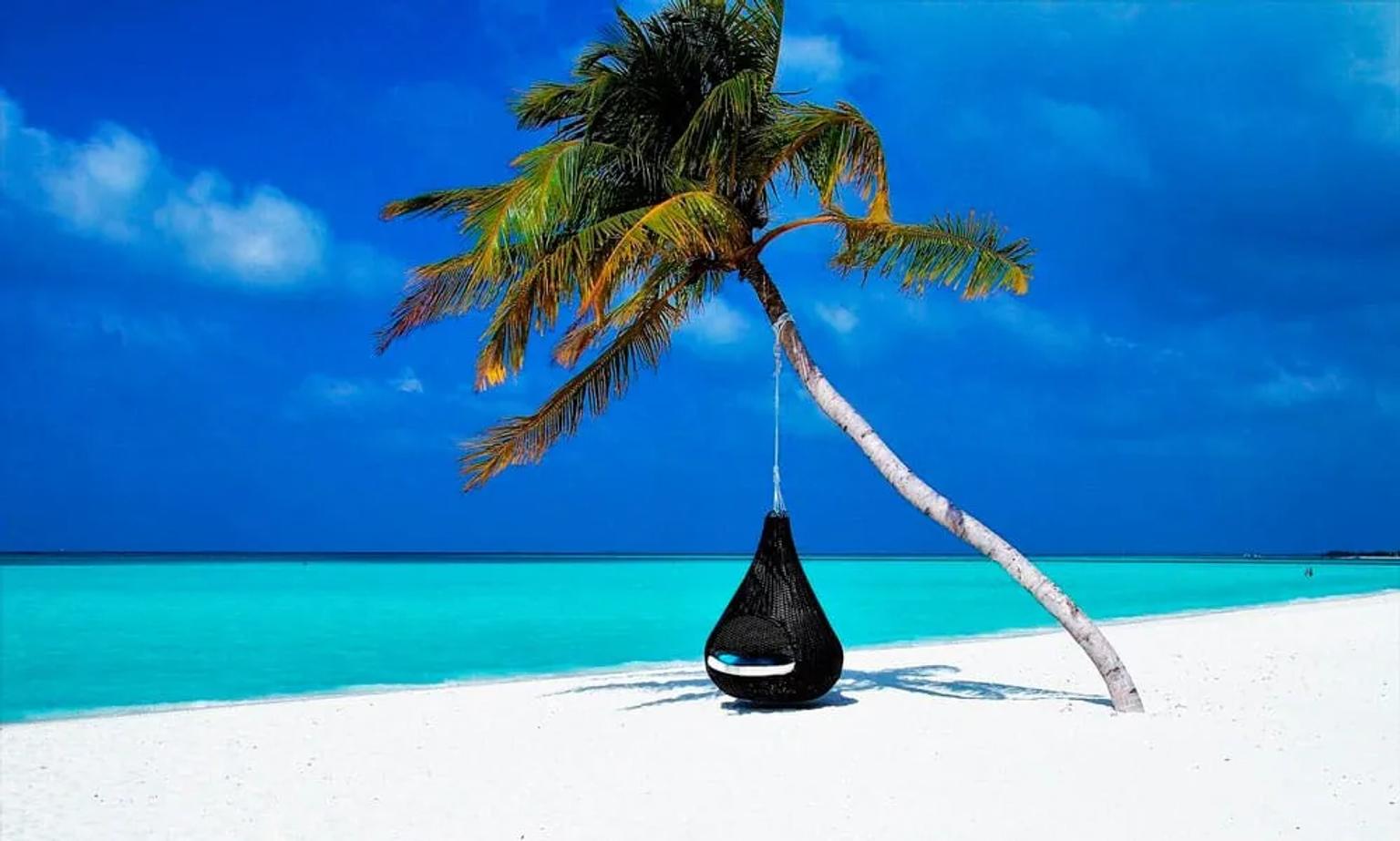 Playa paradisíaca en Maldivas con palmera y hamaca sobre arena blanca.