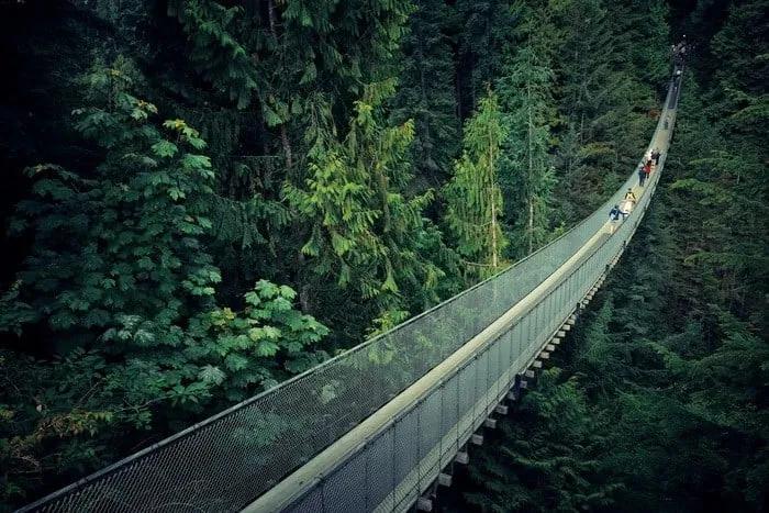 Ponte suspensa de Capilano River no Canadá
