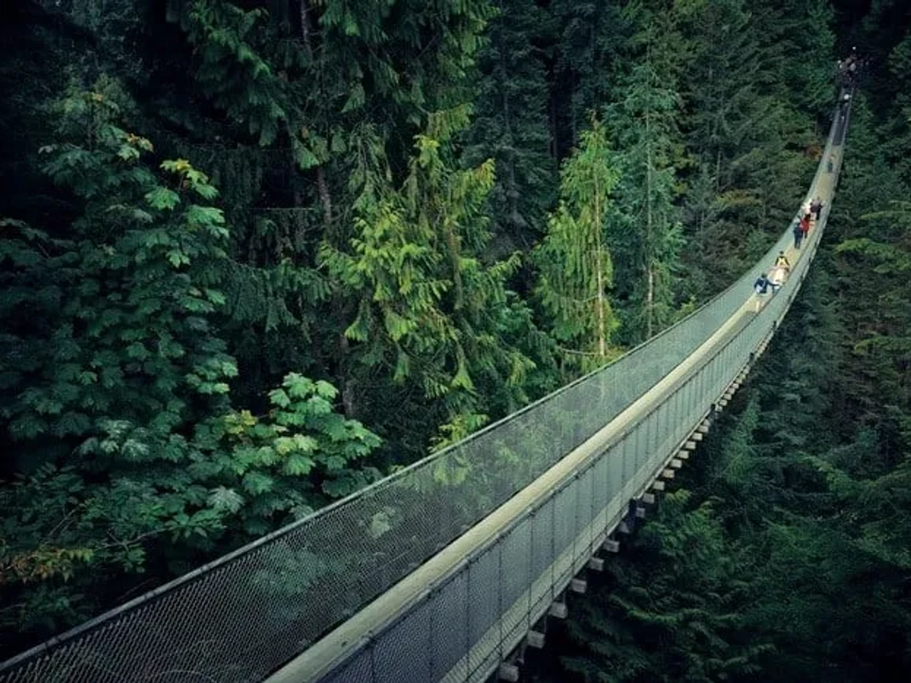 Ponte suspensa de Capilano River no Canadá