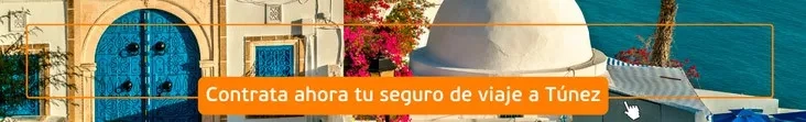 seguro de viaje a Túnez