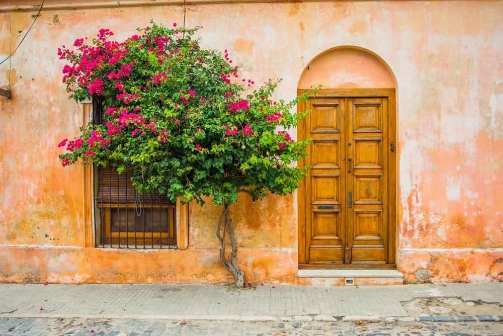 Colonia de Sacramento