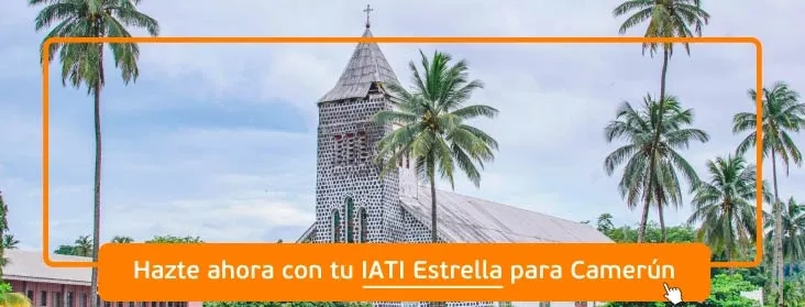 Contratar seguro para Camerún