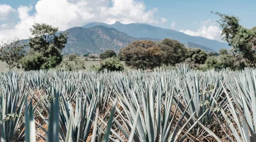 mejor época viajar a México