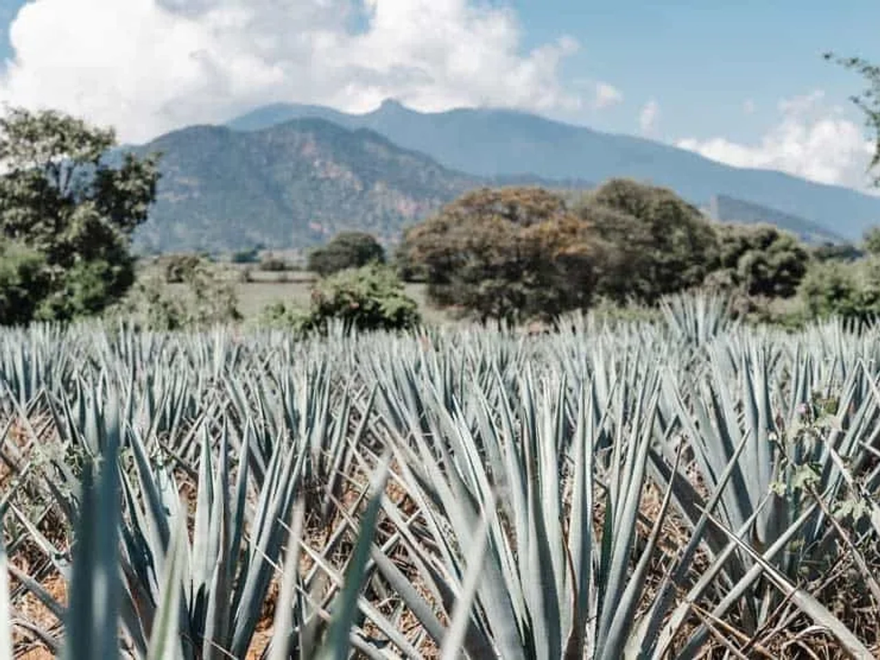 mejor época viajar a México