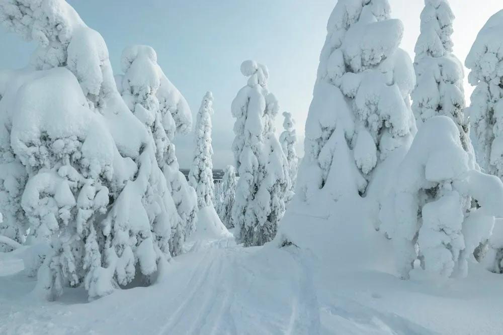 mejor seguro de viaje a Finlandia