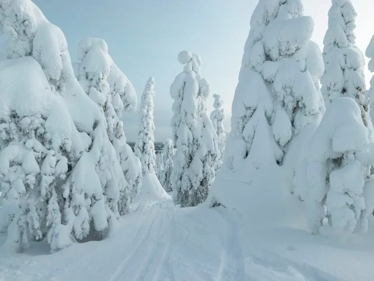 mejor seguro de viaje a Finlandia