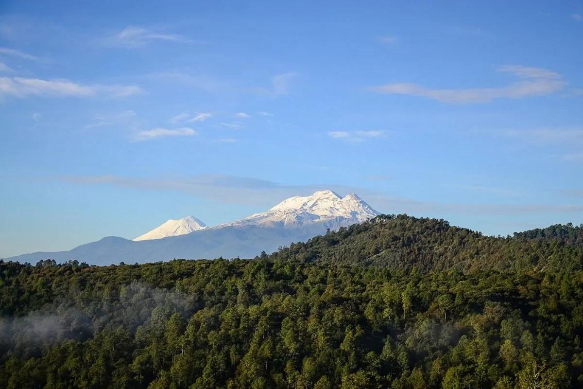 Luciérnagas en México