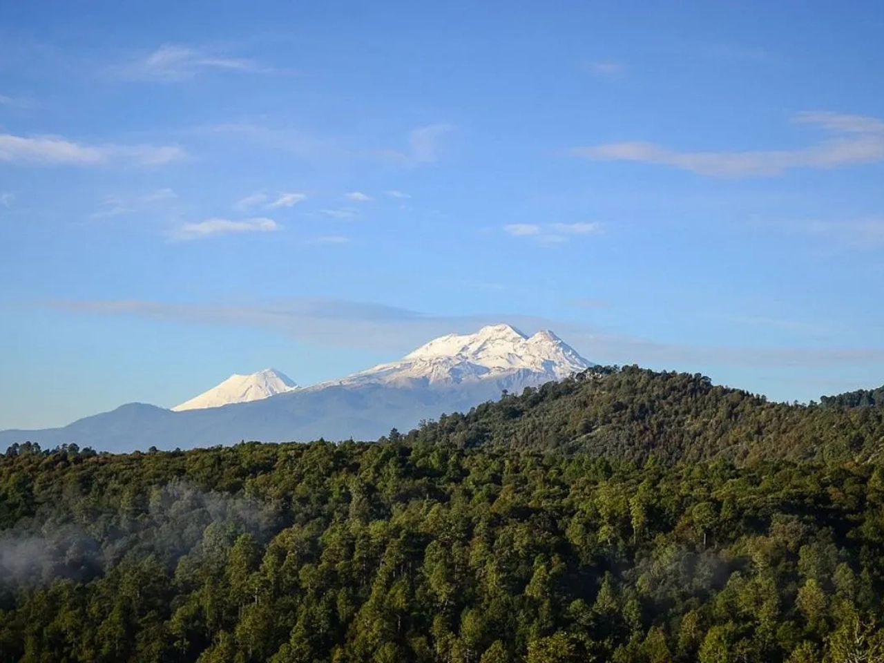 Luciérnagas en México