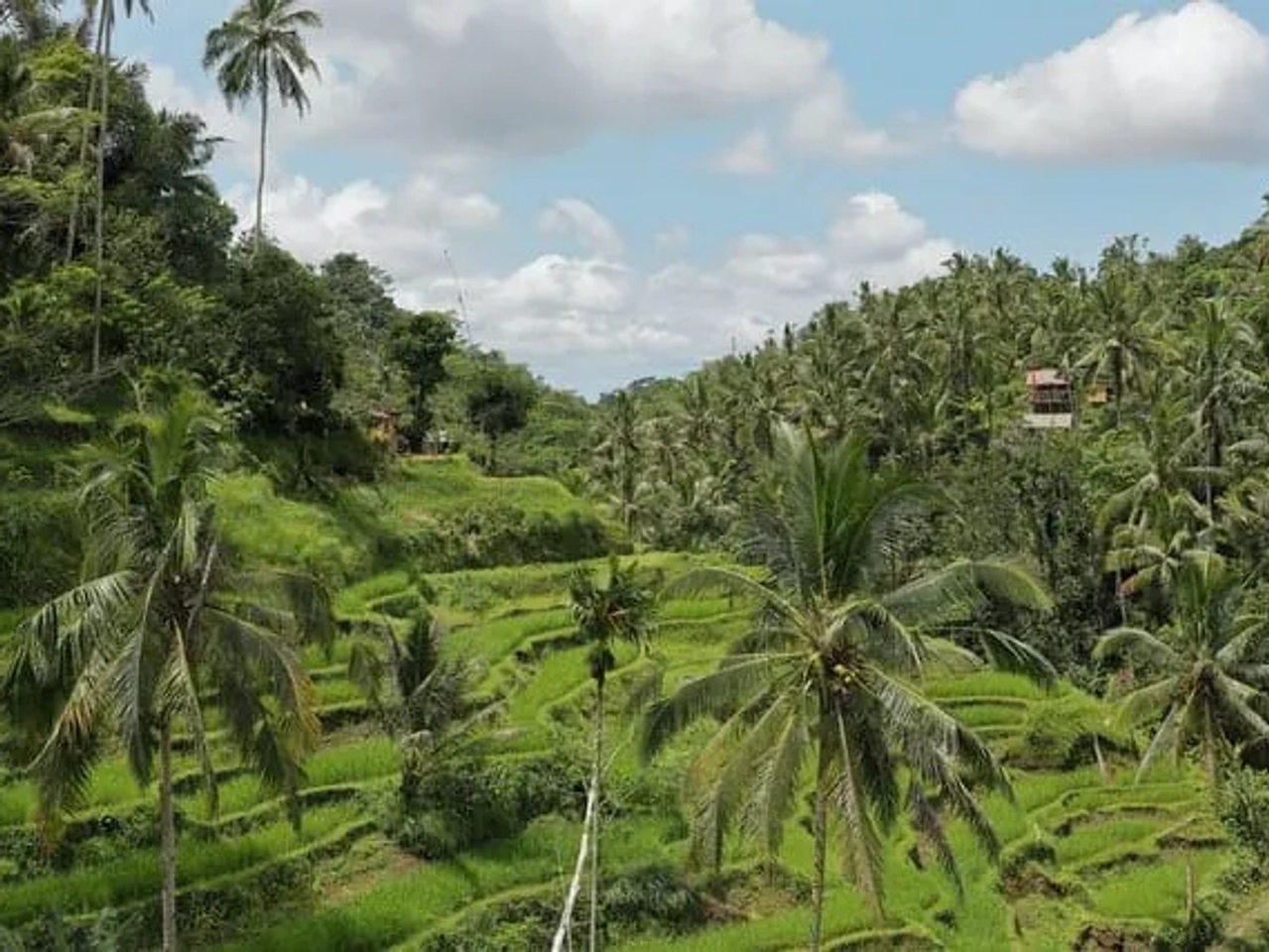 paisagens indonesia