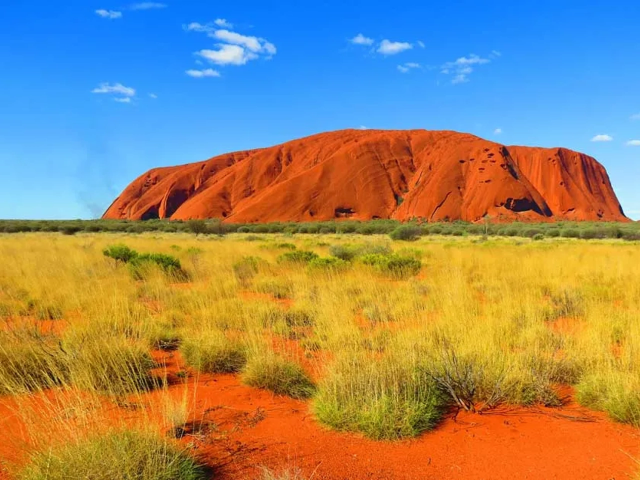 Uluru y Kings Canyon