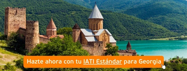 contratar seguro para Georgia