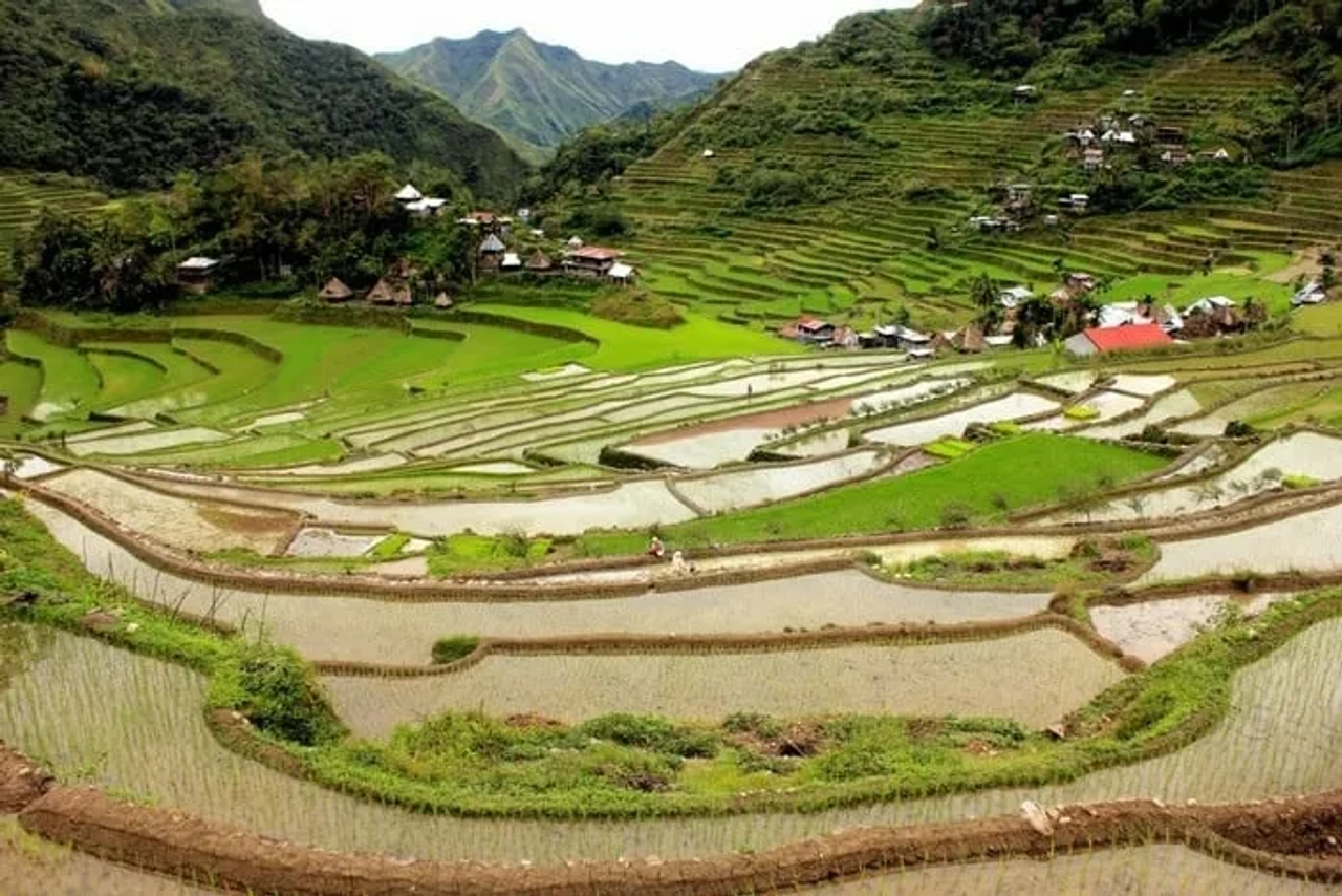 Arrozais em socalcos durante uma viagem pelas Filipinas