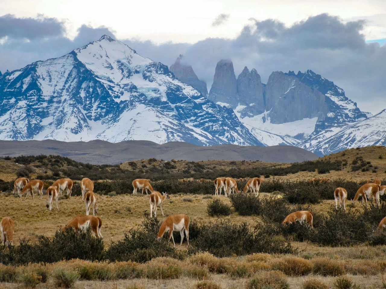 consejos Torres del Paine