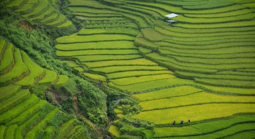 Visado para viajar a Vietnam: 15 días o eVisa de 30