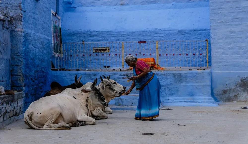 Qué se necesita para viajar a India desde España en 2025