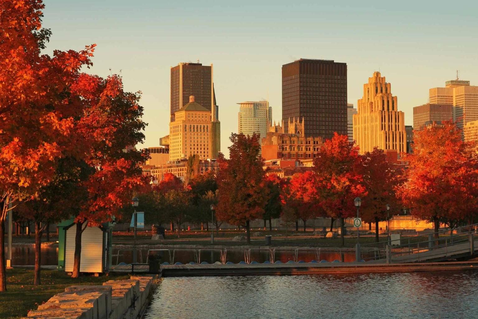 Qué hacer en Montreal