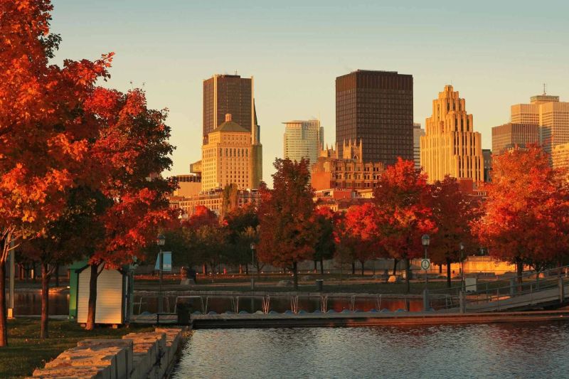 Qué hacer en Montreal: 7 imprescindibles