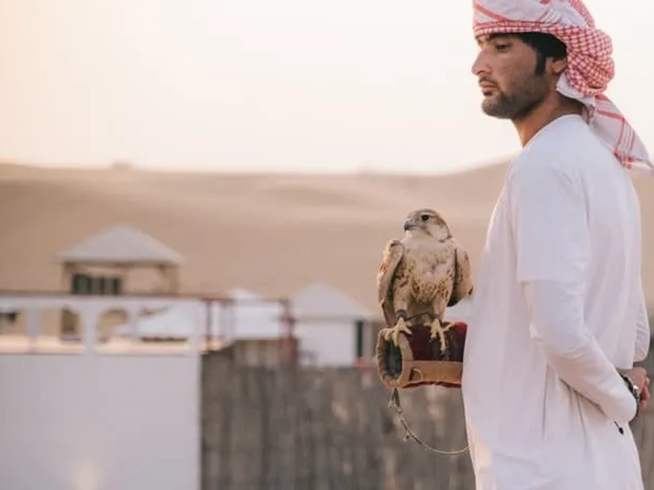 homem junto de uma águia durante o dia