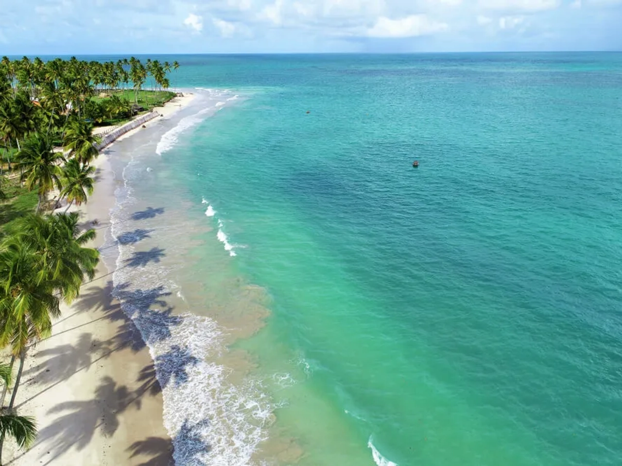 vista aérea da praia de carneiros em pernambuco