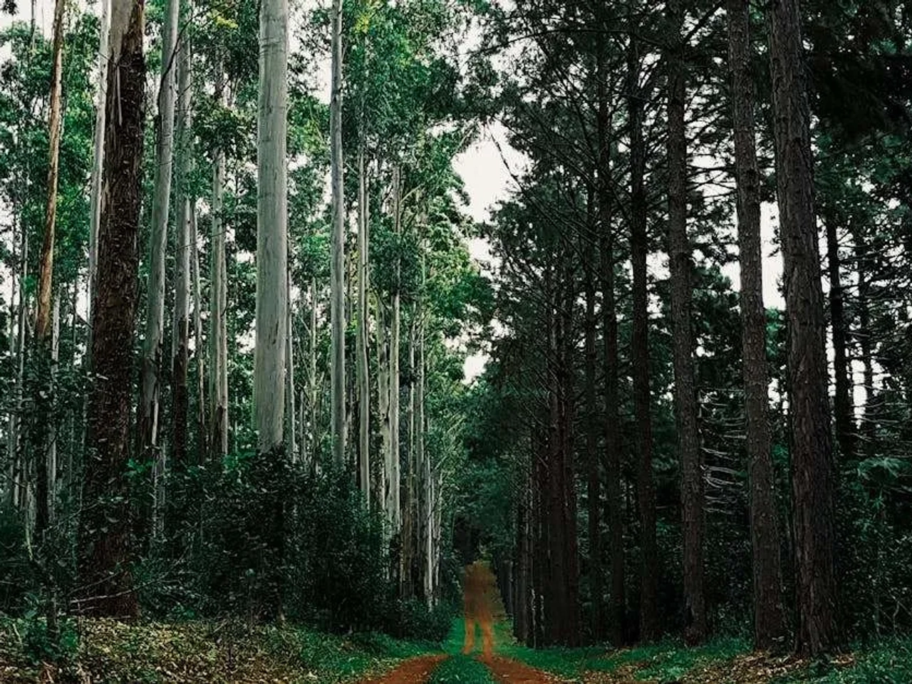viajar a Bariloche desde Perú