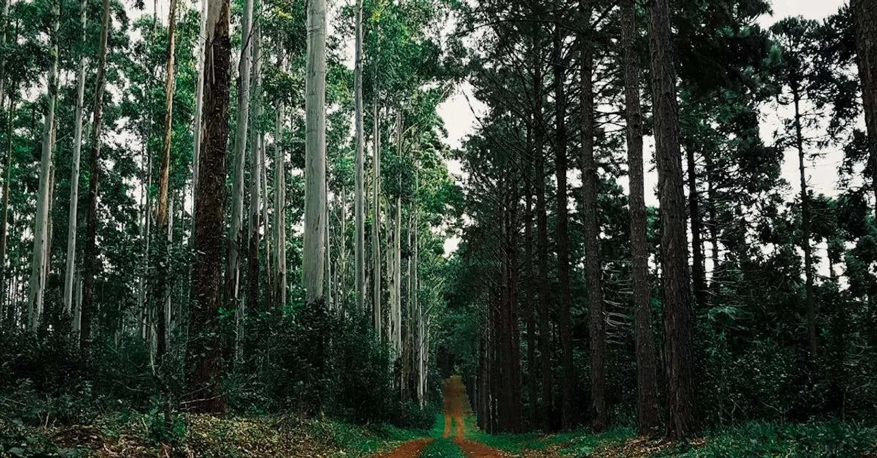 viajar a Bariloche desde Perú