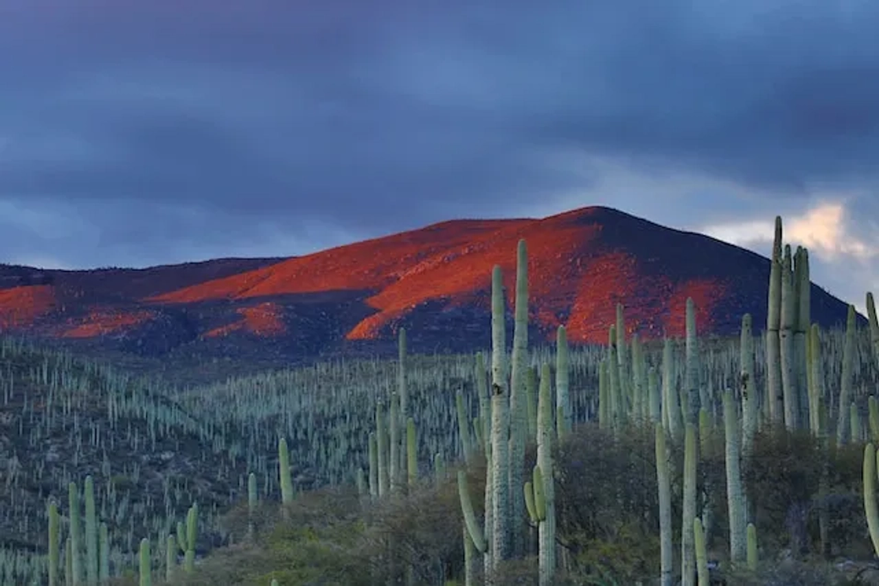 desert in mexico