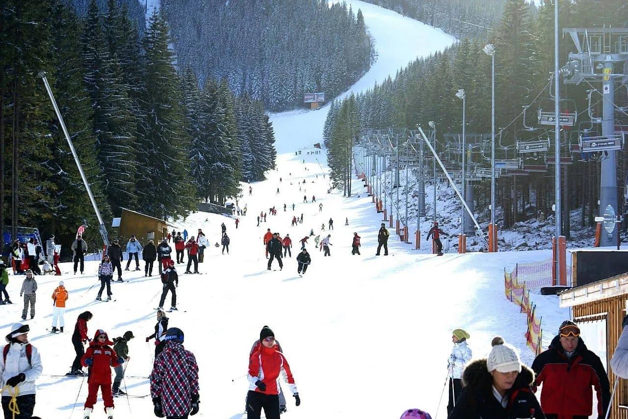 Pessoas esquiando em uma pista de neve cercada por árvores.