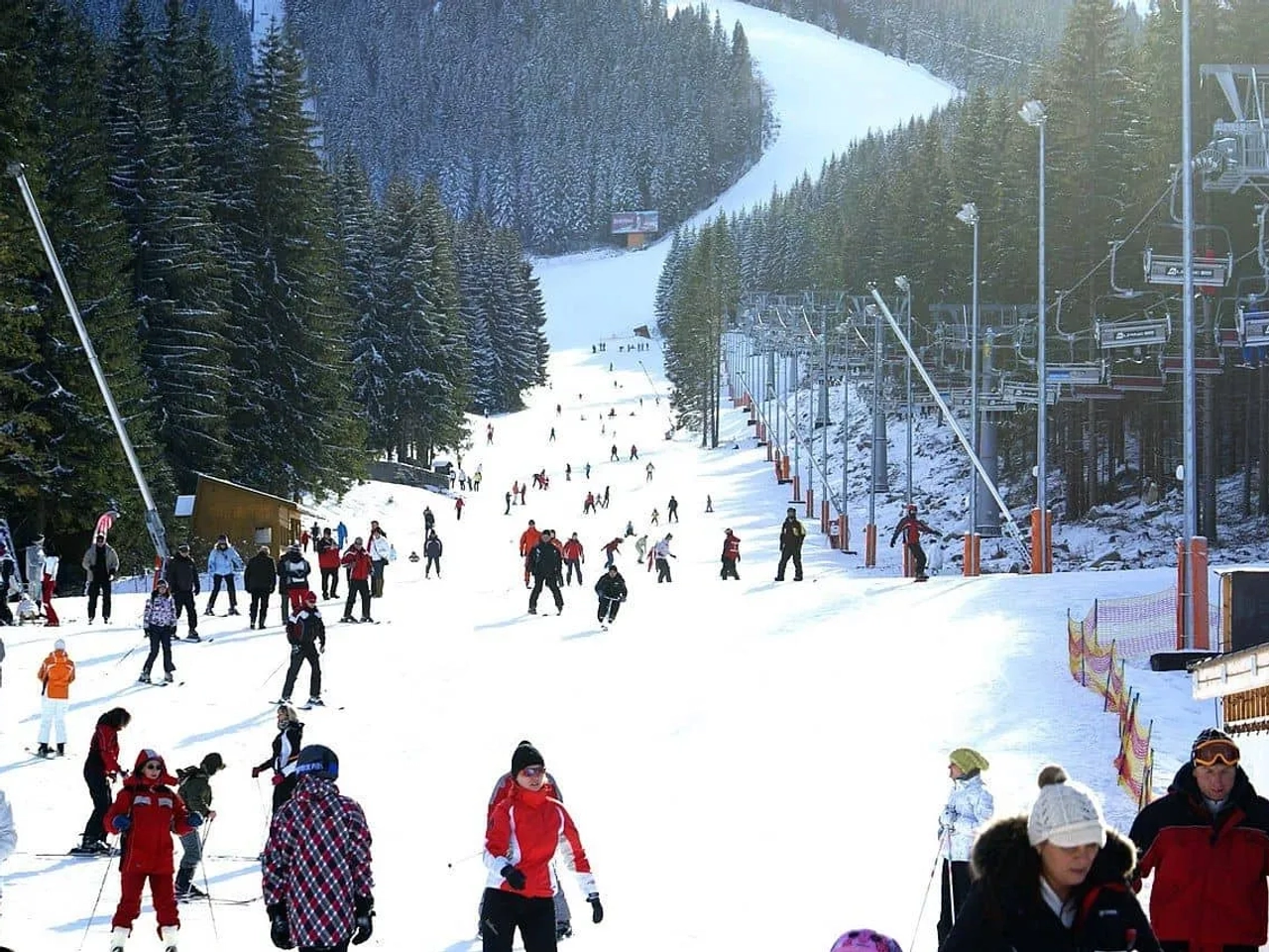 Pessoas esquiando em uma pista de neve cercada por árvores.