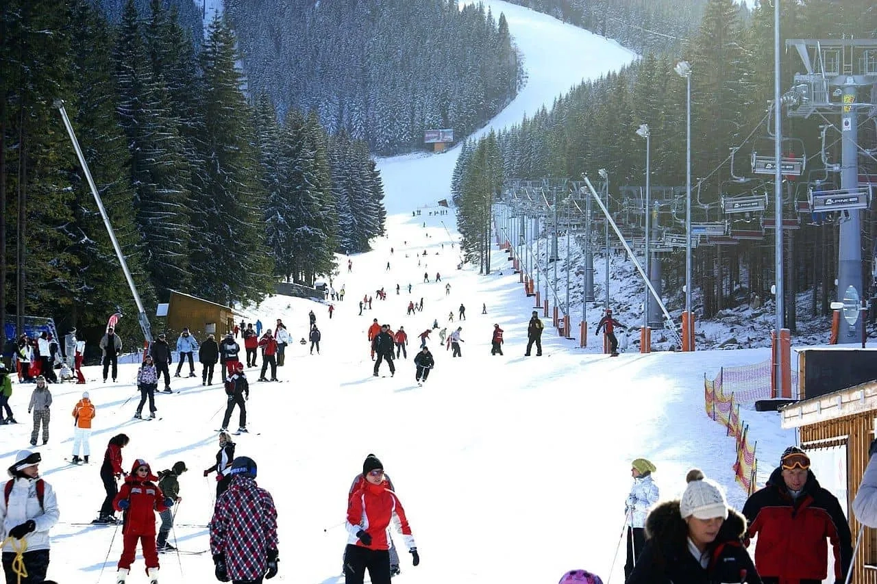 Pessoas esquiando em uma pista de neve cercada por árvores.