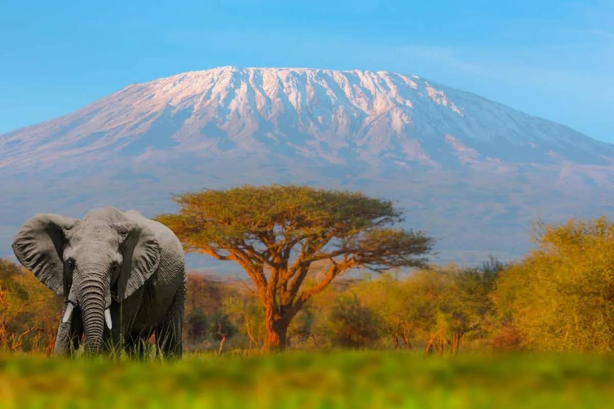 Qué ver y qué hacer en Tanzania: 11 imprescindibles