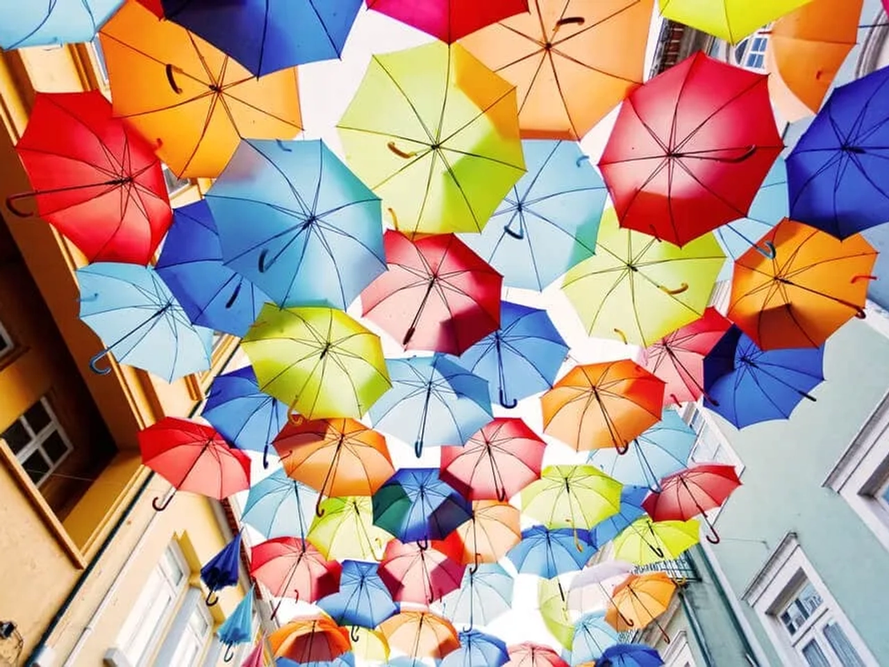 guarda-chuvas de varias cores pendurados sob uma rua de agueda