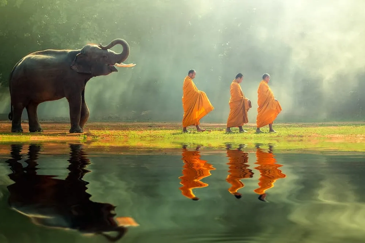 tres monges budistas sao seguidos por um elefante