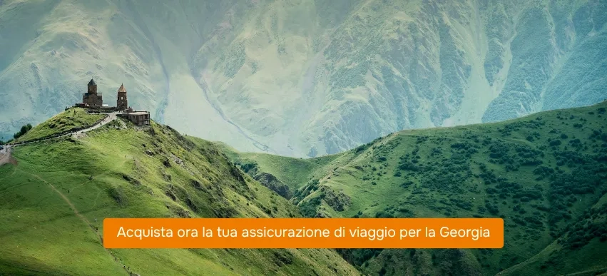 assicurazione per la Georgia
