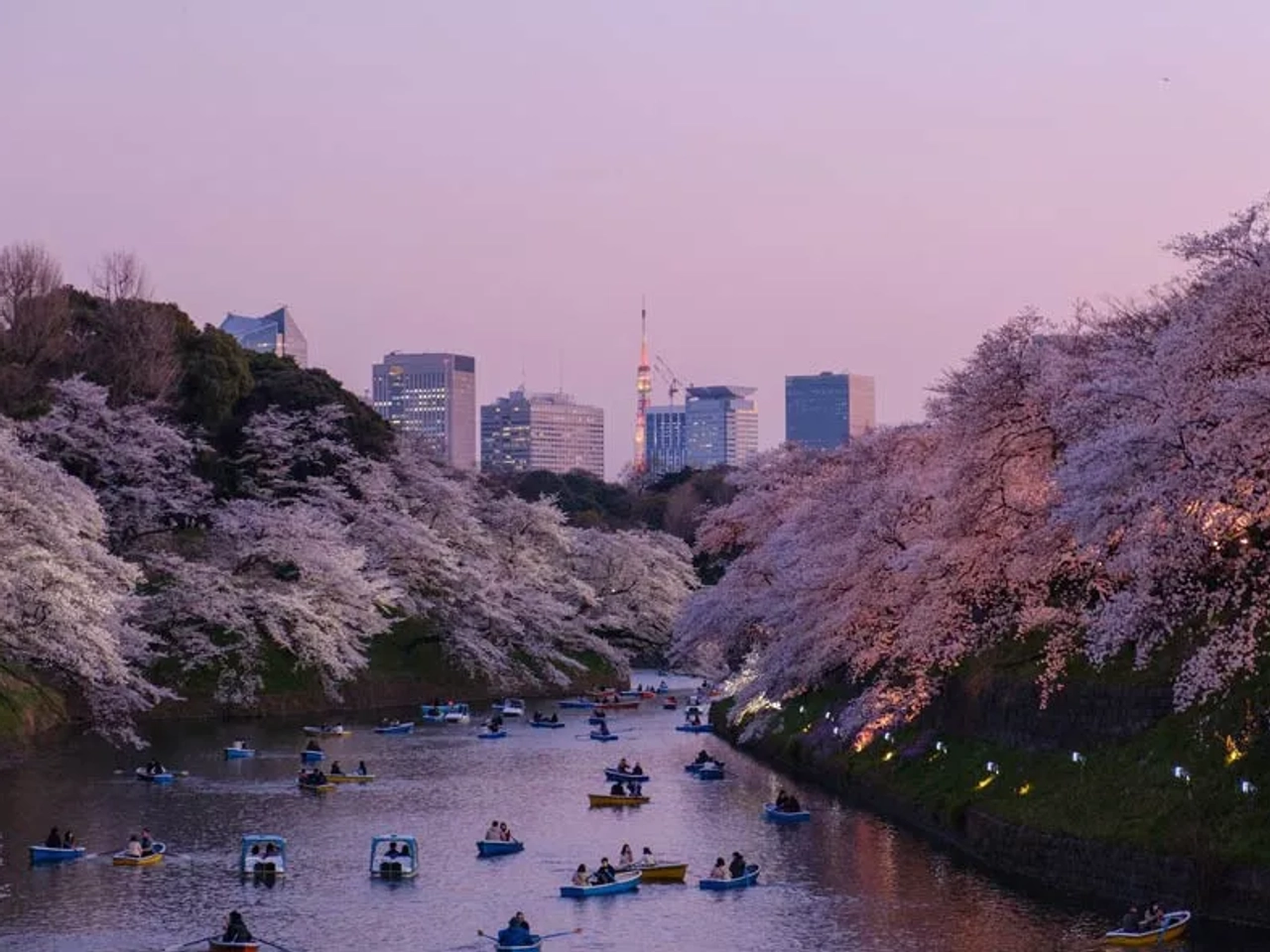 mejores época en Japón para viajar por libre